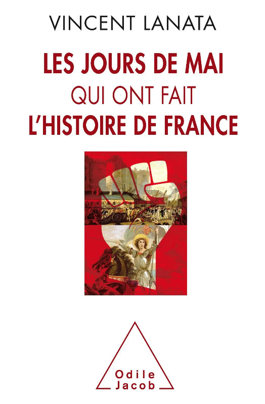 Vincent Lanata Les jours de mai livre histoire de France