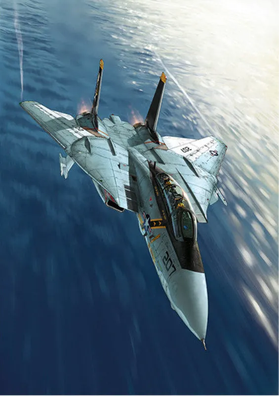 Hugault Affiche Tomcat poster aviation 50x70 cm