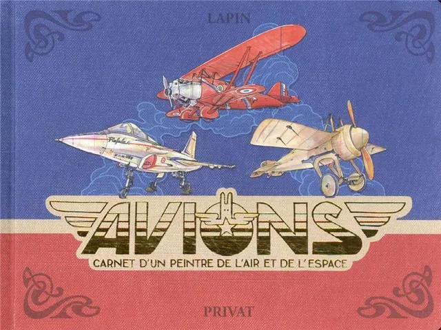 Privat Avions Carnet Peintre de l'Air Lapin Livre