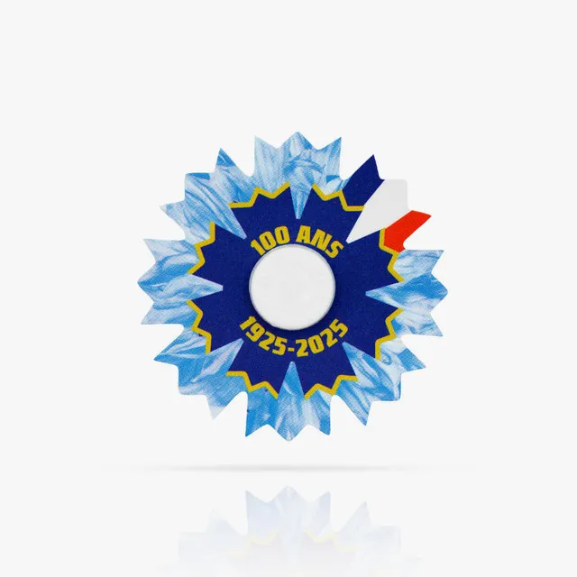 Bleuet de France papier fleur Centenaire 2025 45 mm