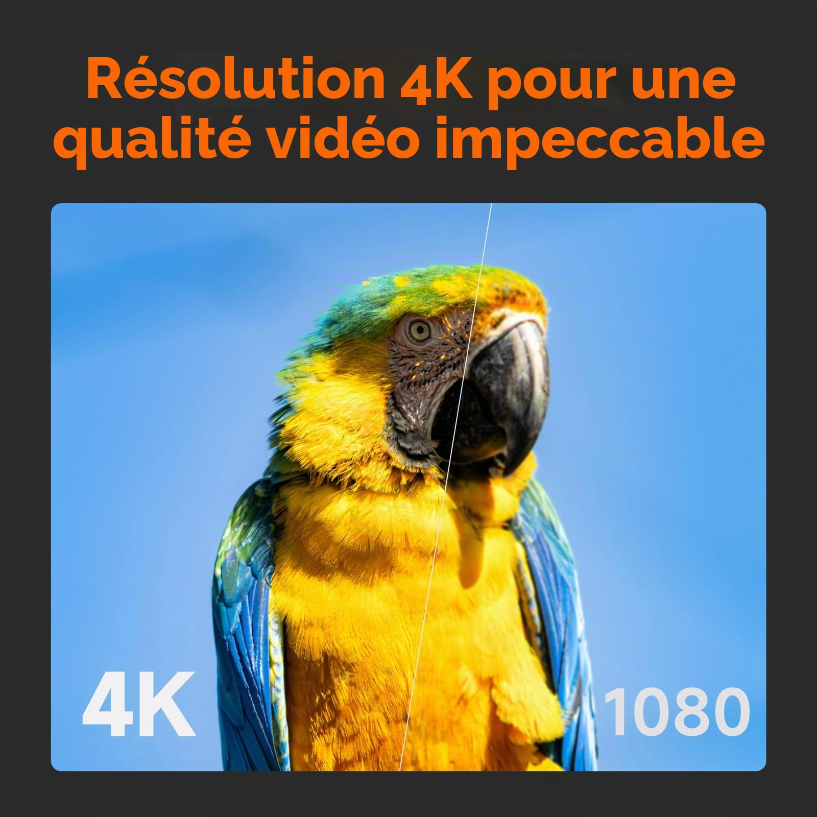 Accsoon SeeMo 4K Adaptateur HDMI moniteur vidéo Android 4K