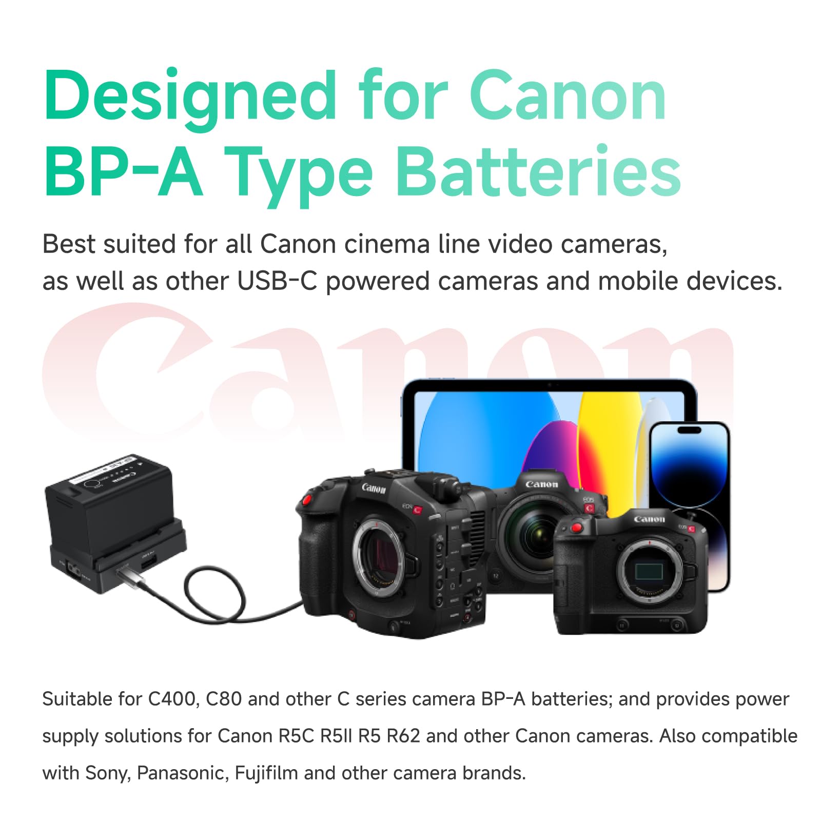 Accsoon BC08 plaque batterie BP-A D-TAP USB-C