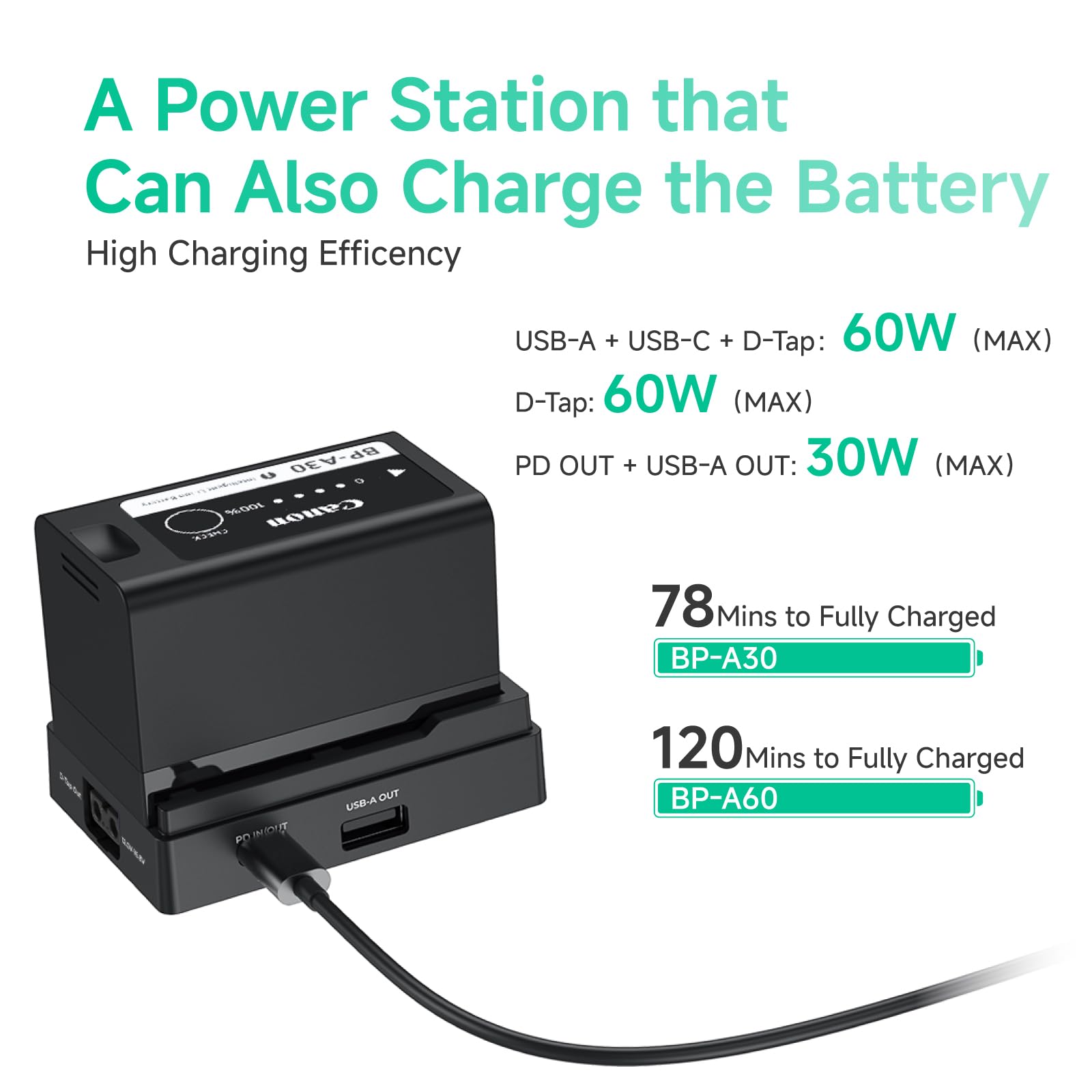 Accsoon BC08 plaque batterie BP-A D-TAP USB-C