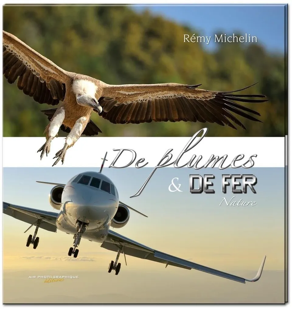 Rémy Michelin De plumes et de fer livre aviation peintres de l'Air
