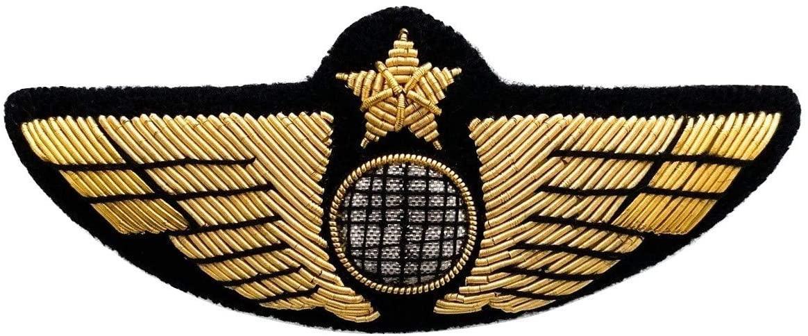 La Boutique du Pilote Aile Poitrine Avion insigne broderie or agrafes