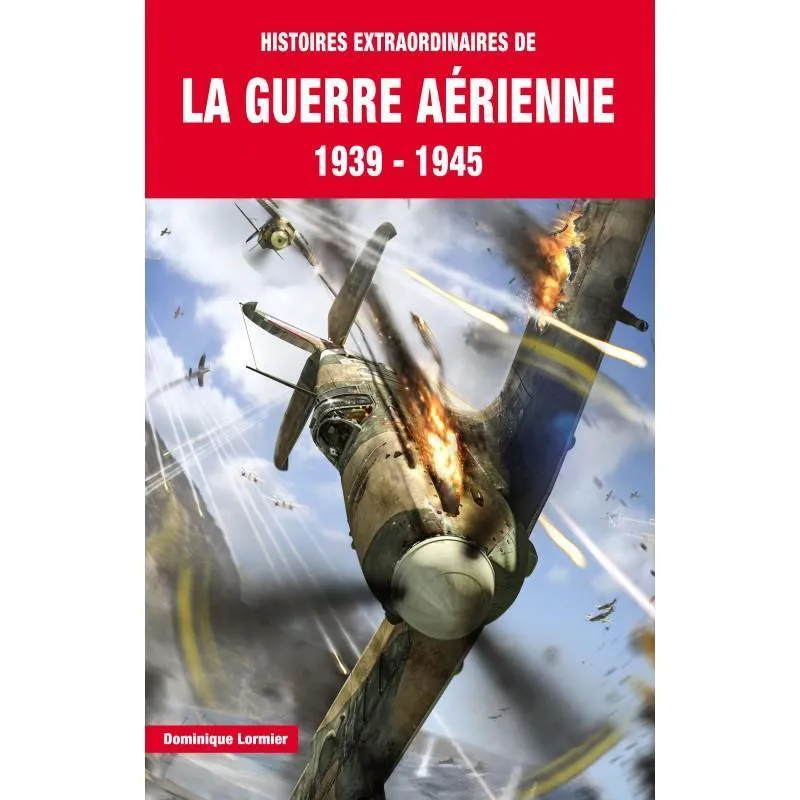 Histoires extraordinaires guerre aérienne 1939-1945 livre