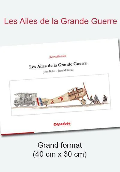 La Boutique du Pilote Ailes de la Grande Guerre livre
