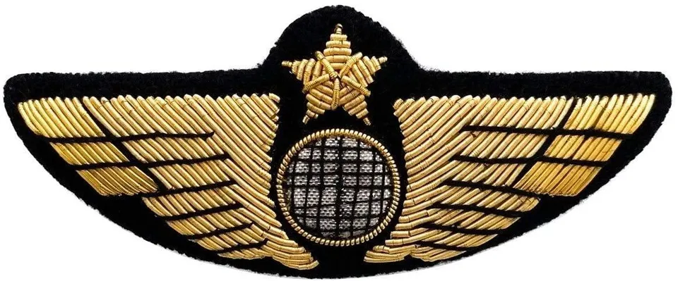 La Boutique du Pilote Aile Poitrine Avion insigne broderie or agrafes