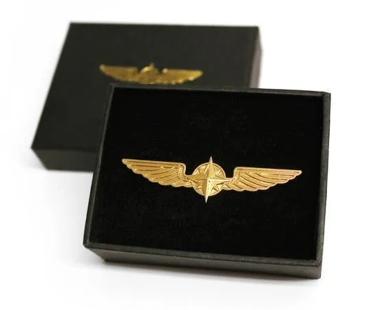 La Boutique du Pilote Tenue Ailes de Pilote insigne grand format 5 cm