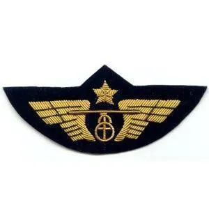 Aile de Poitrine Hélicoptère insigne broderie or à agrafes